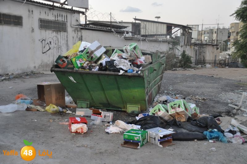 trash lud 907 (2).JPG